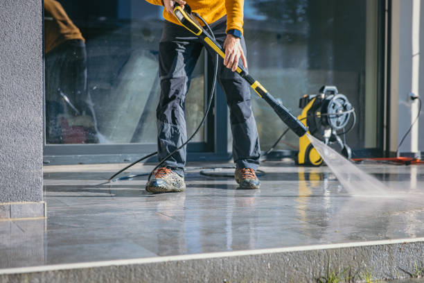 Best Roof Power Washing Services  in Virginia, MN