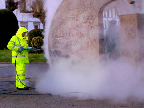 Best House Pressure Washing  in Virginia, MN