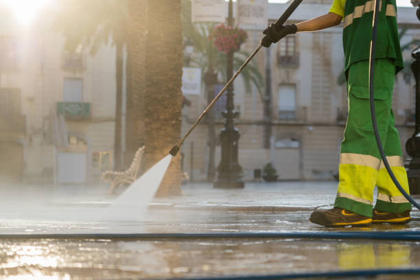 Best Roof Pressure Washing  in Virginia, MN