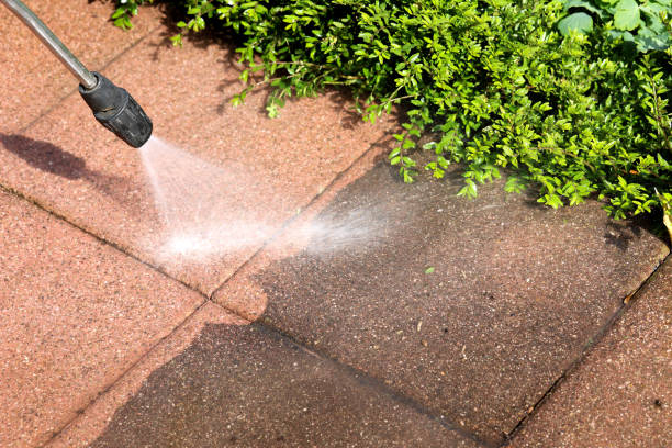 Best Commercial Building Pressure Washing  in Virginia, MN